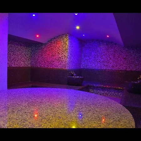 Belvedere Vip 반스코